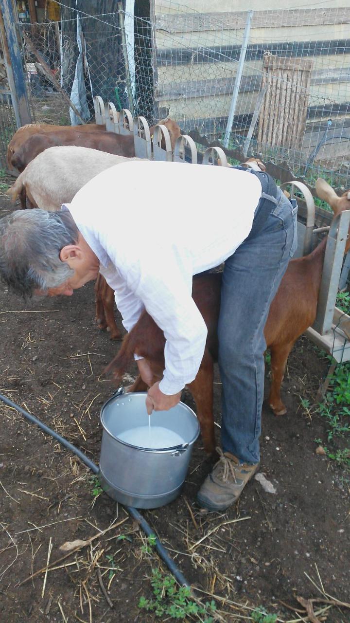 Nurazzolas Villaputzu Kültér fotó